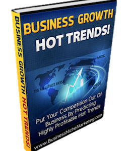 Business Growth Hot Trends (E-Book)