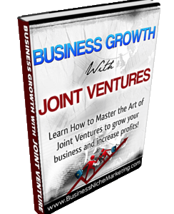 Business Growth With Joint Ventures (E-Book)