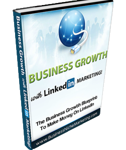 Business Growth With LinkedIn Marketing (E-Book)