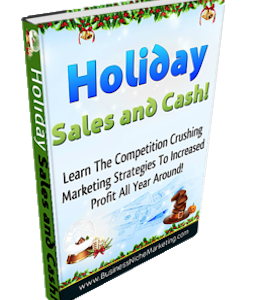 Holiday Sales and Cash (E-Book)